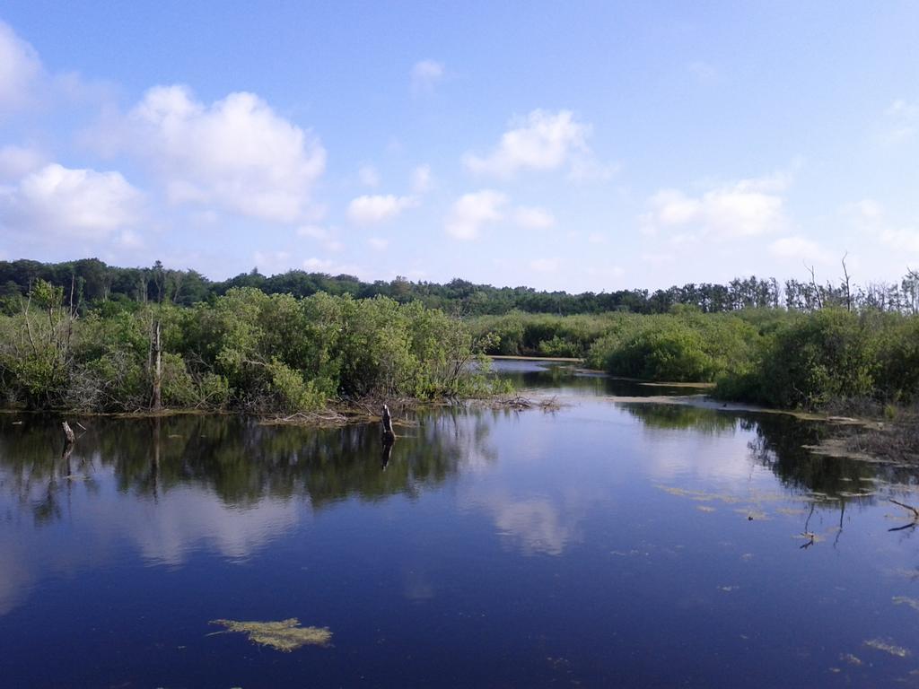 Dom Gościnny Koja Kwatera prywatna